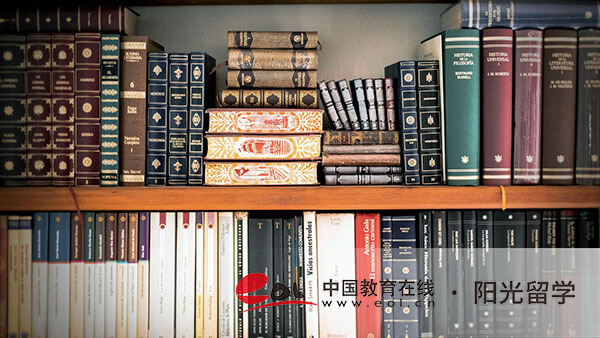 上海外國語大學一加三國際本科班價格一年多少錢