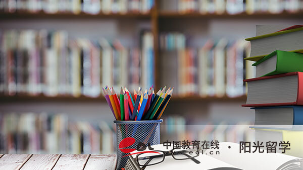 上海外國語大學中外合作國際本科1+3費用多少