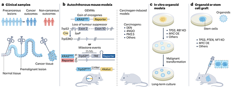 四川大學科技成果 四川大學科技成果