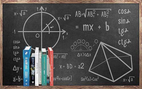 紐約州立大學賓漢姆頓大學專業設置