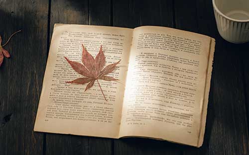安徽自考大專在哪里報名？有哪些科目？