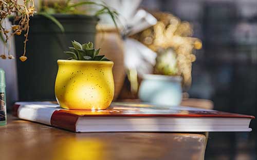 沒有學歷提升學歷學什么專業比較好？可以做什么？