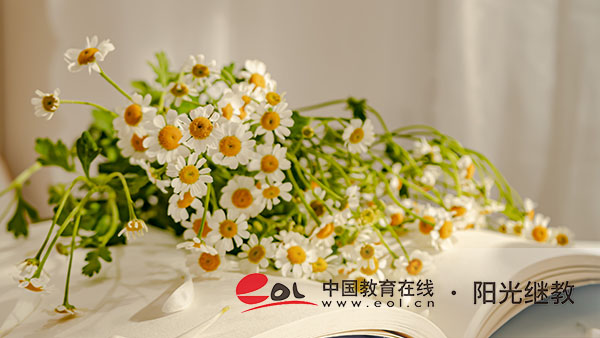 山東自考專業有哪些？有哪些熱門專業？